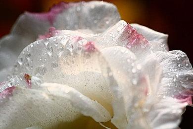 《英雄联盟》2023年赛季短片被粉丝怒喷垃圾 拳头道歉